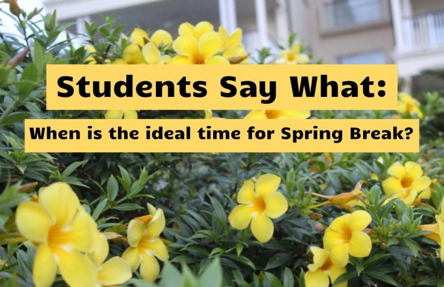 Students+have+a+wide+range+of+opinions+on+the+perfect+time+to+have+a+for+springtime.