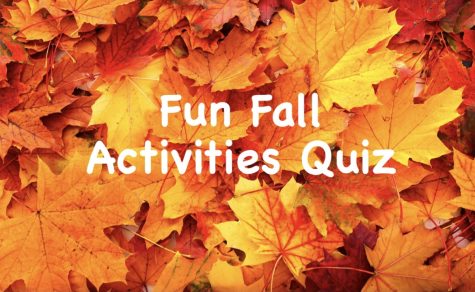 If youre wondering what fall activity best suits you, this quiz is for you!