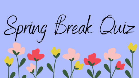 What type of spring break is best for you?
