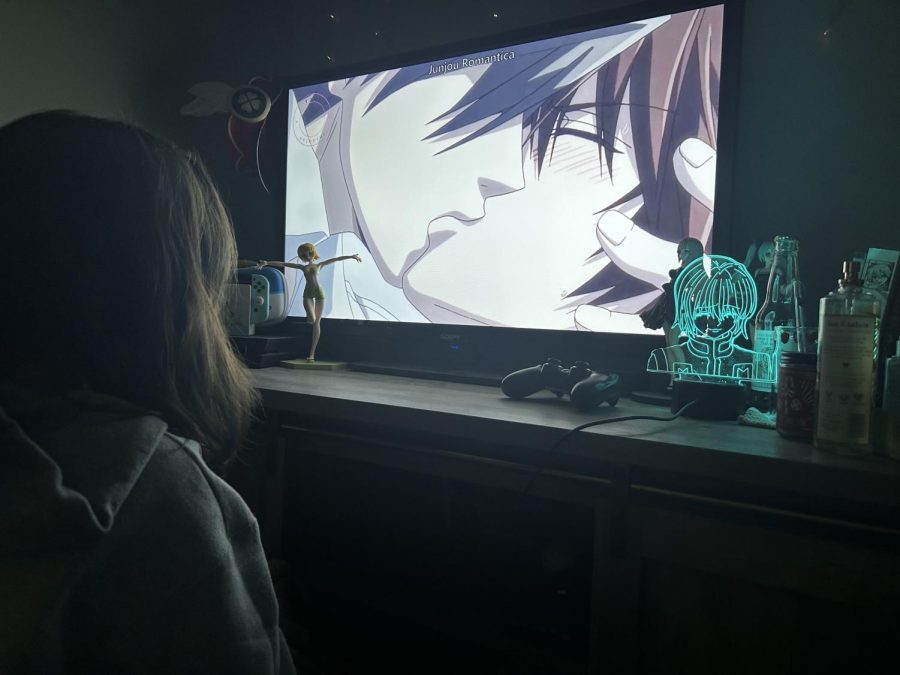 Woman watching gay anime characters kiss