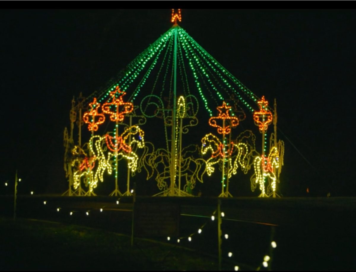 Lighting up the Night: Local events boost holiday spirit
