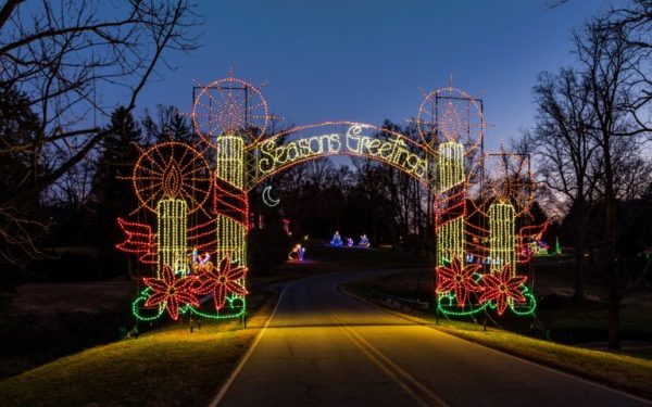 Tangle Wood lights.