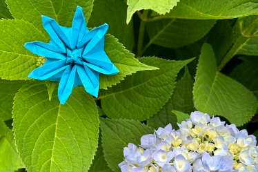 An origami daisy.