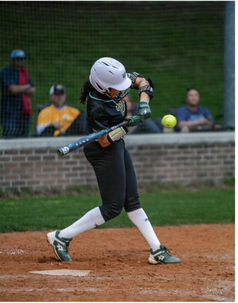 Horton up to bat. 
Picture credit: Sportsbyraylen