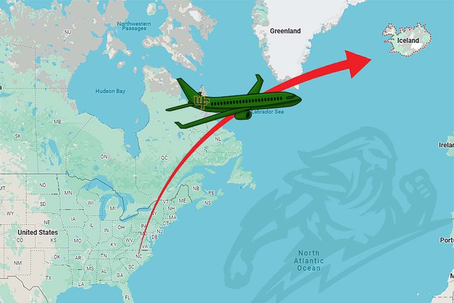 Plane on its way to Europe.