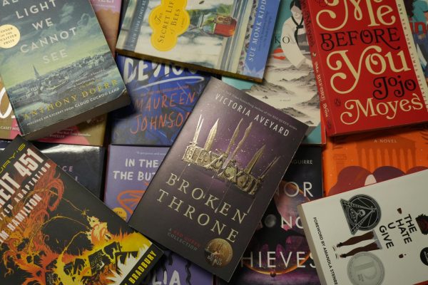 Multiple classroom books 