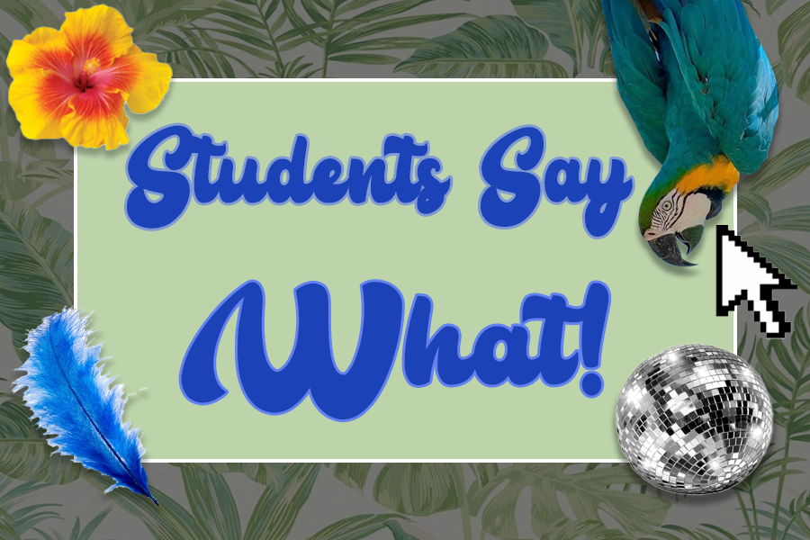 Students Say What: Prom 2026